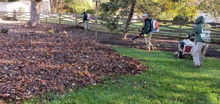 Leaf Removal