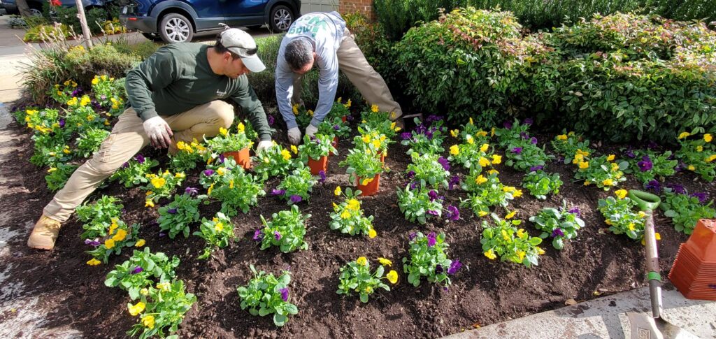 Flower Bed Maintenance