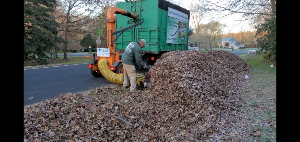 Leaf Removal Service