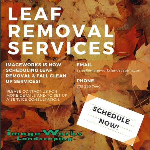 Leaf Removal Services