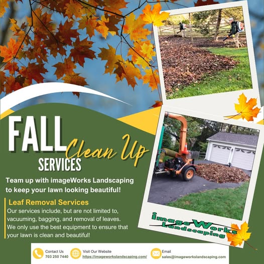 Fall Clean Up