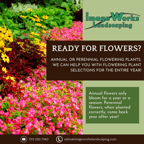 Spring Flowers