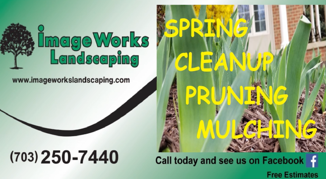 Spring Cleanup!