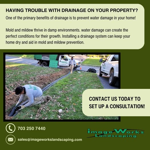 Drainage