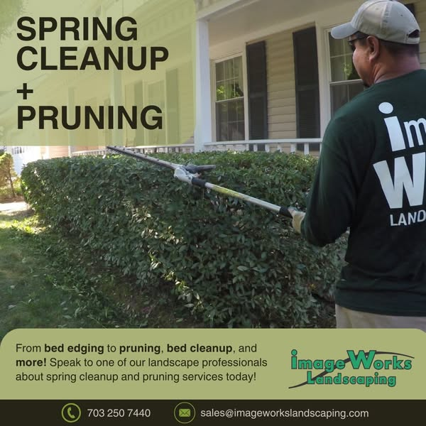 Spring Cleanup