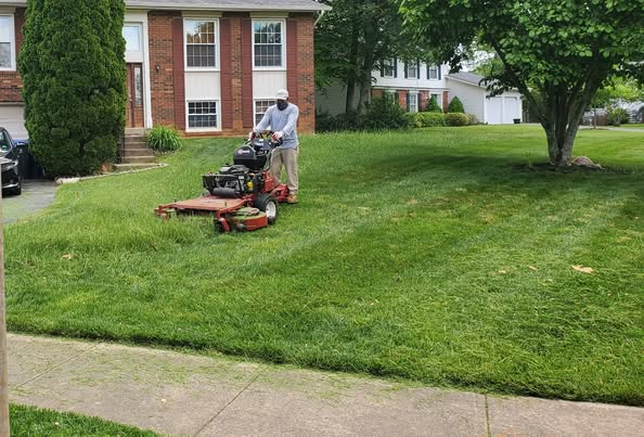 Spring Lawn Care Tip: Why Weekly Mowing Beats Biweekly!
