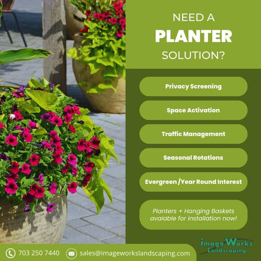 Boost Your Business Appeal with Planters & Flowers!