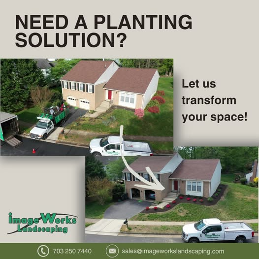 Boost Your Curb Appeal with Beautiful Plantings in Burke, VA!
