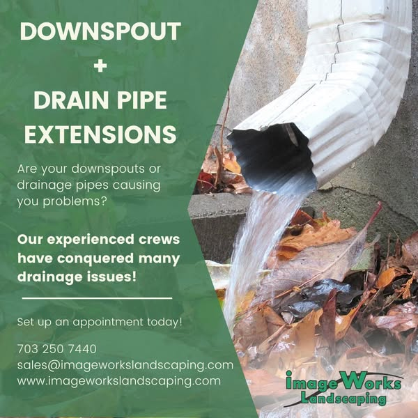Northern Virginia Homeowners—Your Yard Needs Some TLC!