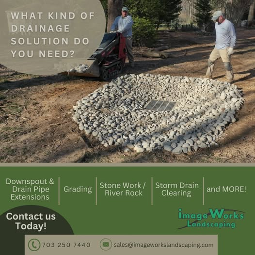 Arlington, VA Homeowners—Struggling with Wet Spots in Your Yard?