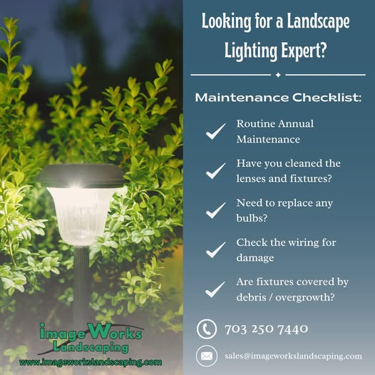 Landscape Lighting