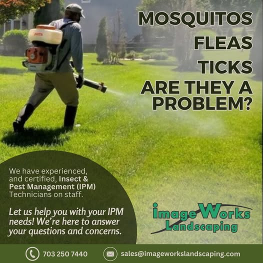 Say Goodbye to Mosquitoes This Summer!