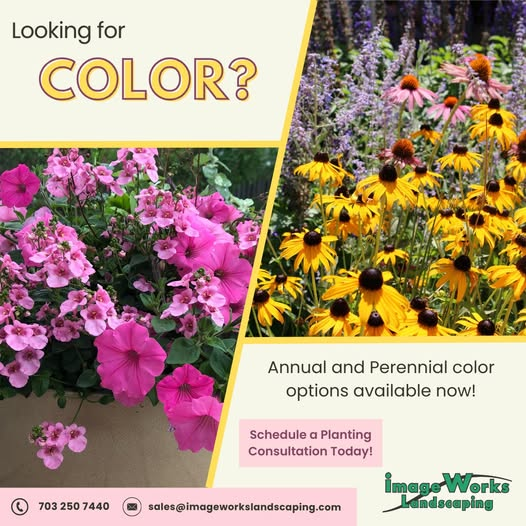 Transform Your Landscape with Seasonal Colors!
