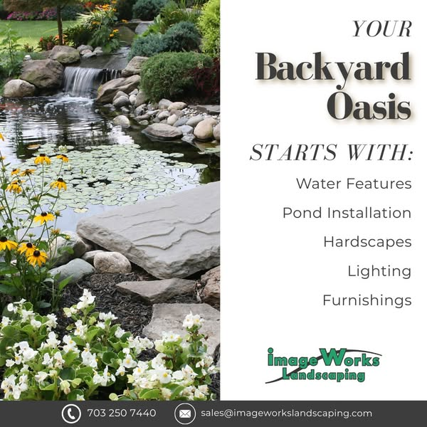 Why Your Backyard Needs a Pond