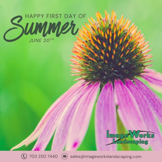 Hello Summer: Let the Fun Begin!