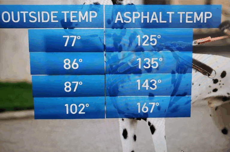 HIGH HEAT ALERT