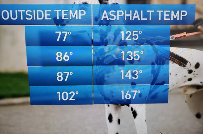 HIGH HEAT ALERT