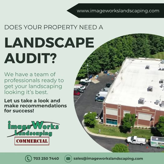 Landscape Audit