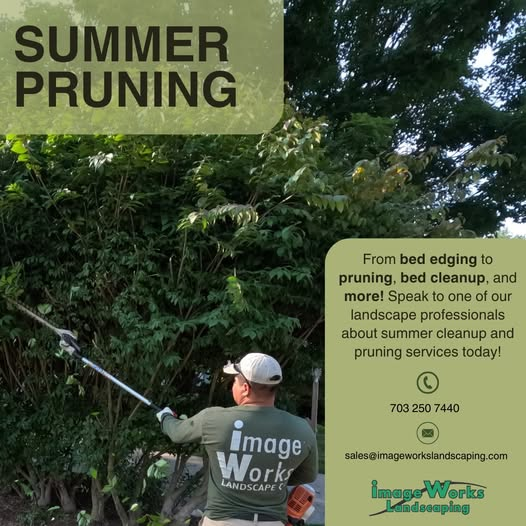 Proper pruning
