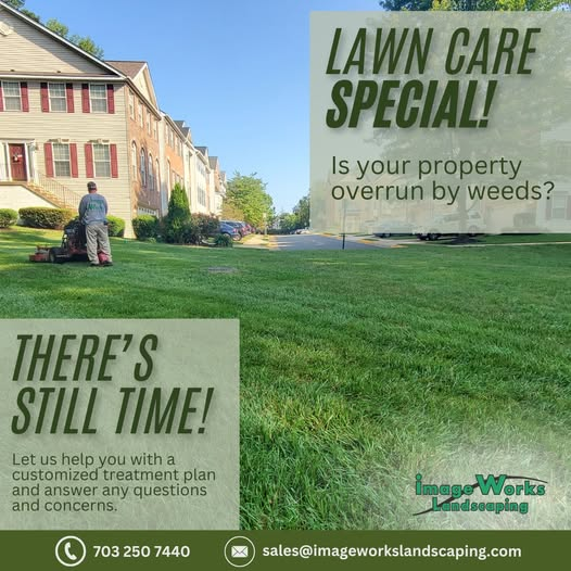 Lawn Care and Weed Control