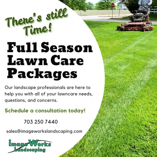 mowing, trimming, and keeping up with lawn care