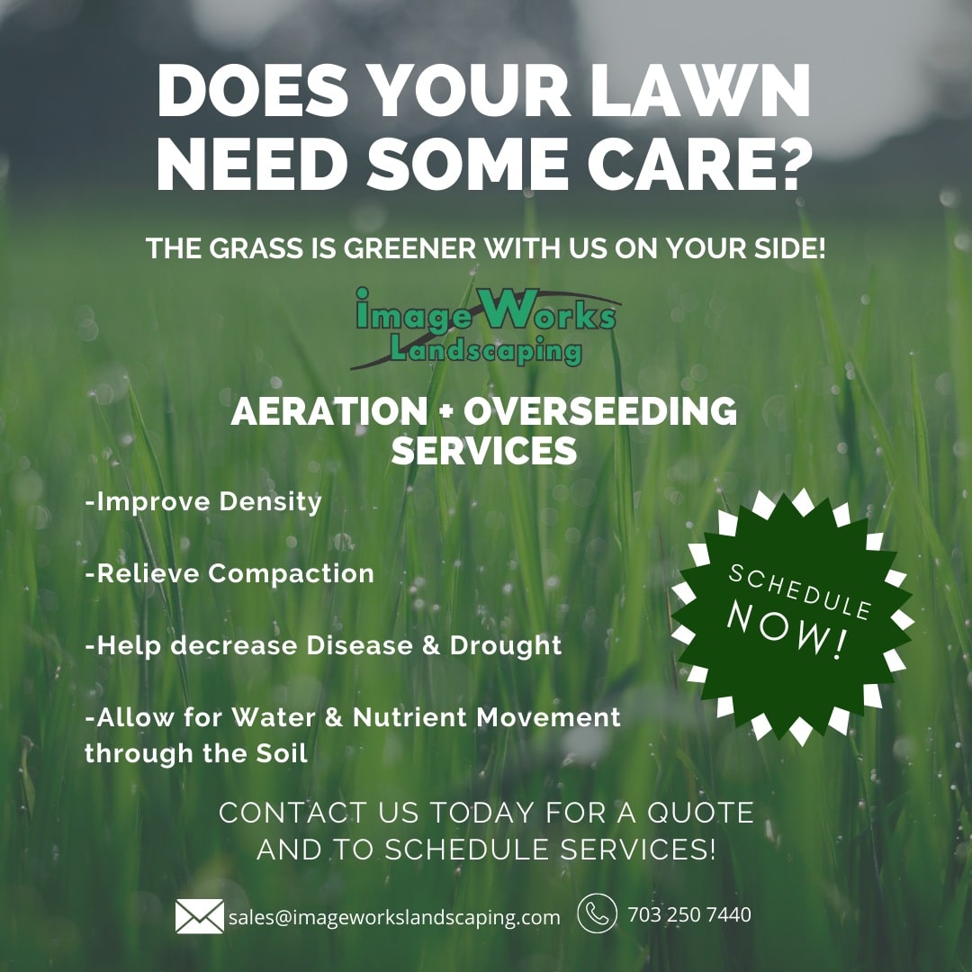 Lawn Aeration Process