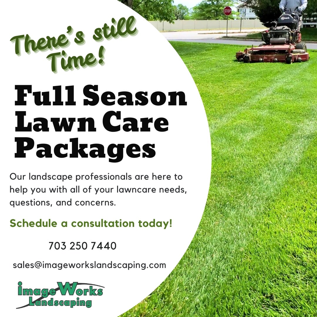 Choosing Lawn Care Services