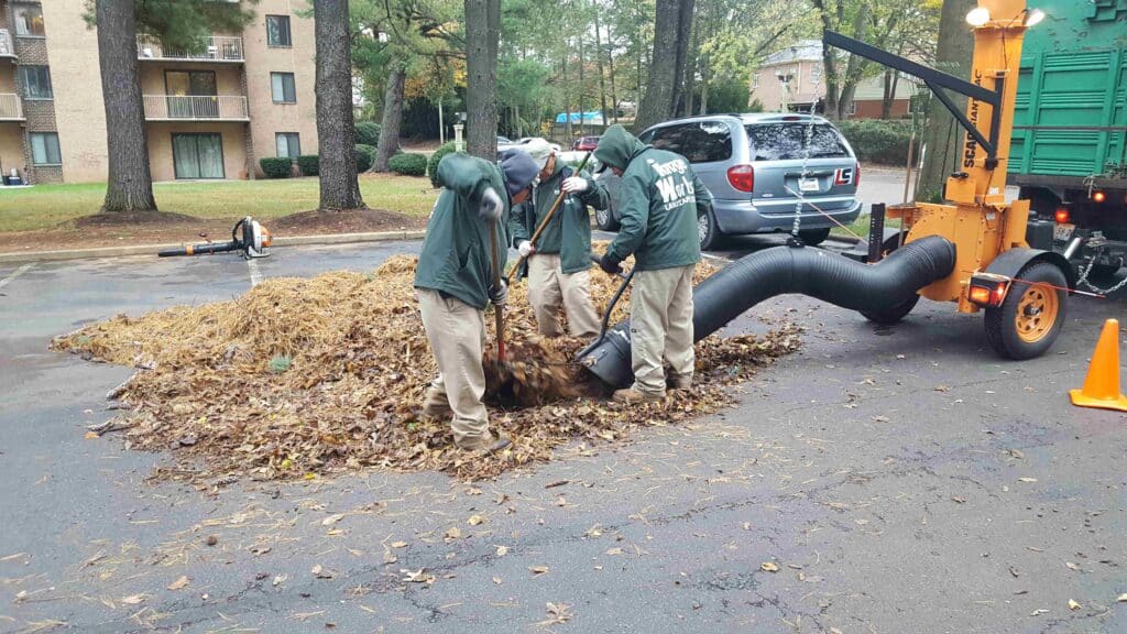 Lawn Care for Annandale Virginia-Beautifully landscaped garden with vibrant flowers and shrubs