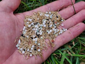  Benefits of Grass Aeration and Seeding