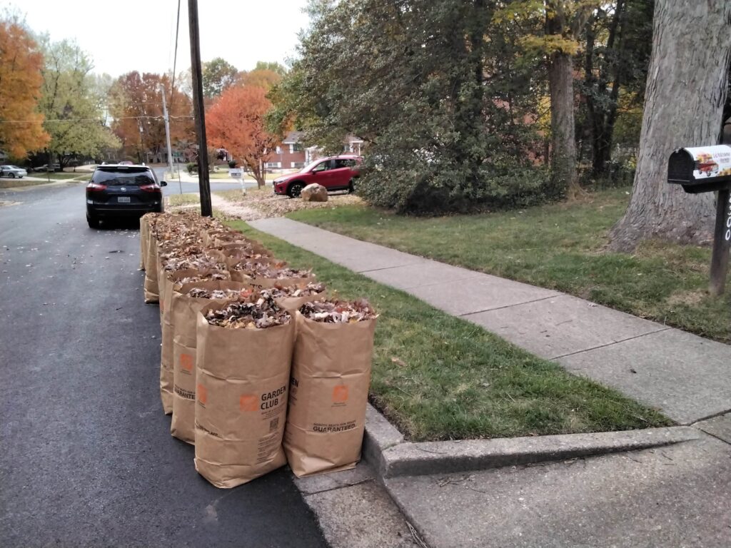 Leaf Pick-Up Service