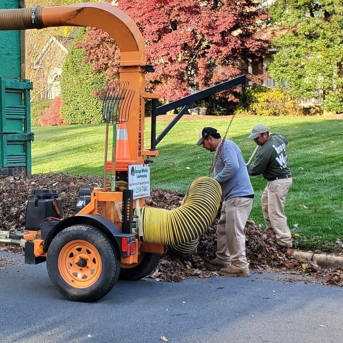 Leaf Pick-Up Service