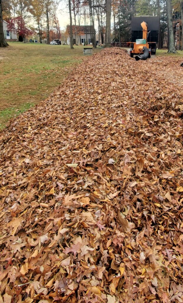 Professional Yard Raking Service
