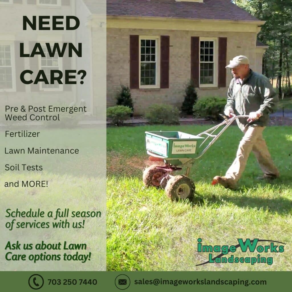Benefits of Lawn Aeration and Professional Lawn Care