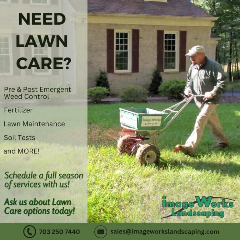 Benefits of Lawn Aeration and Professional Lawn Care