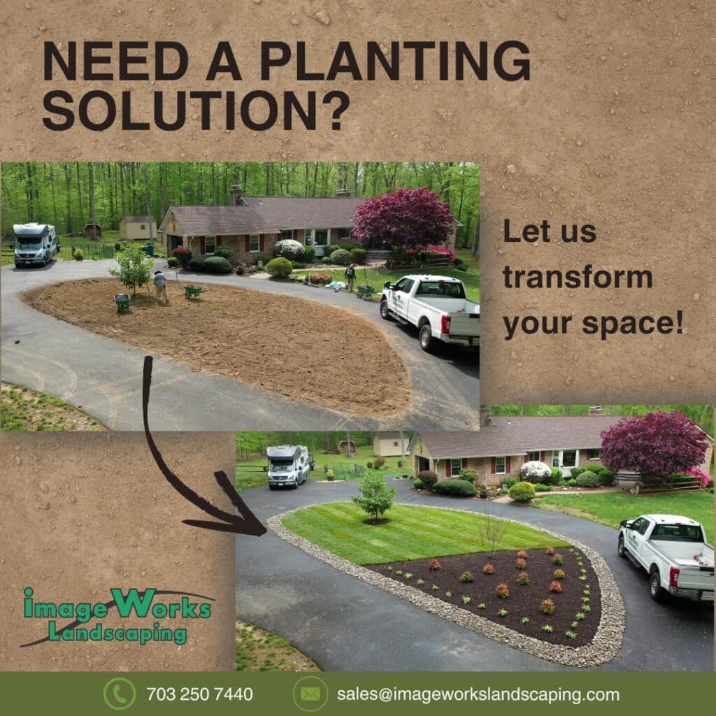 Planting Solution Flower Bed