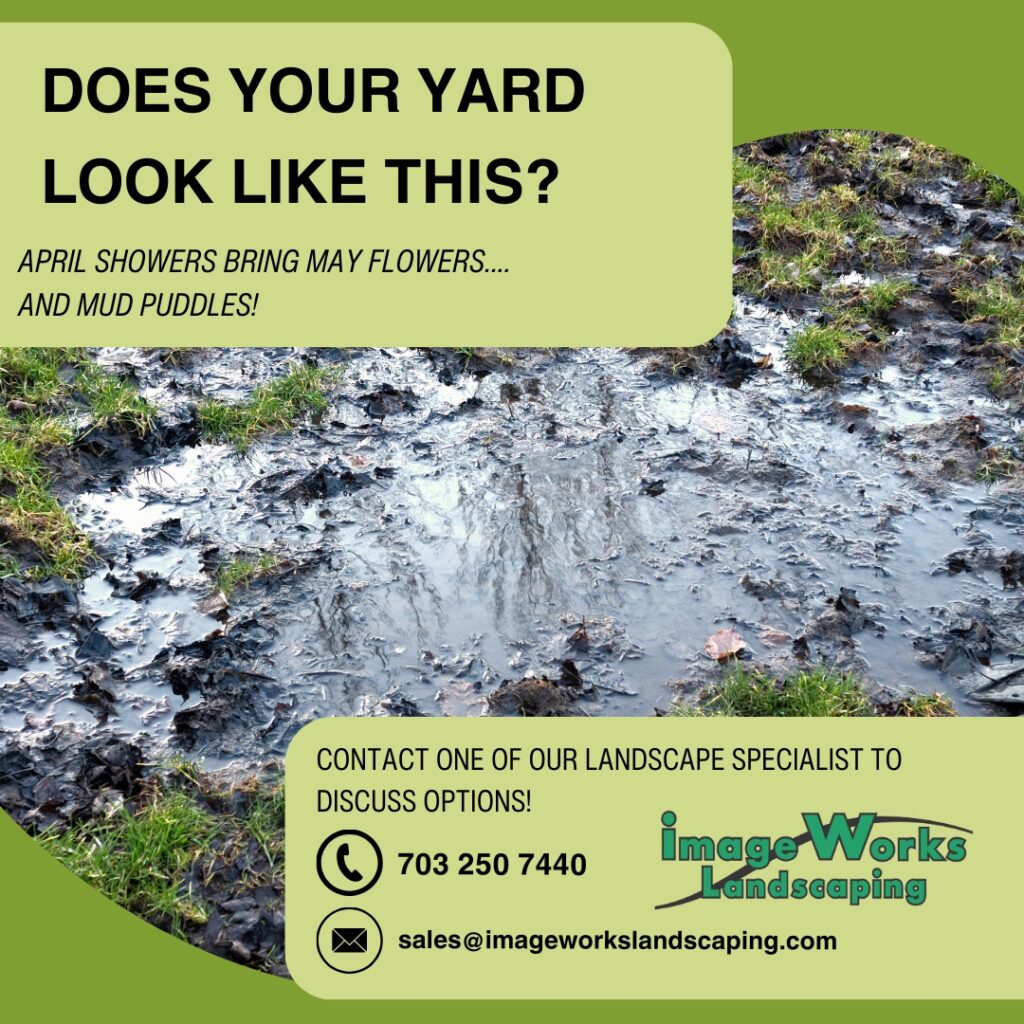Wet Basement Drainage Solutions