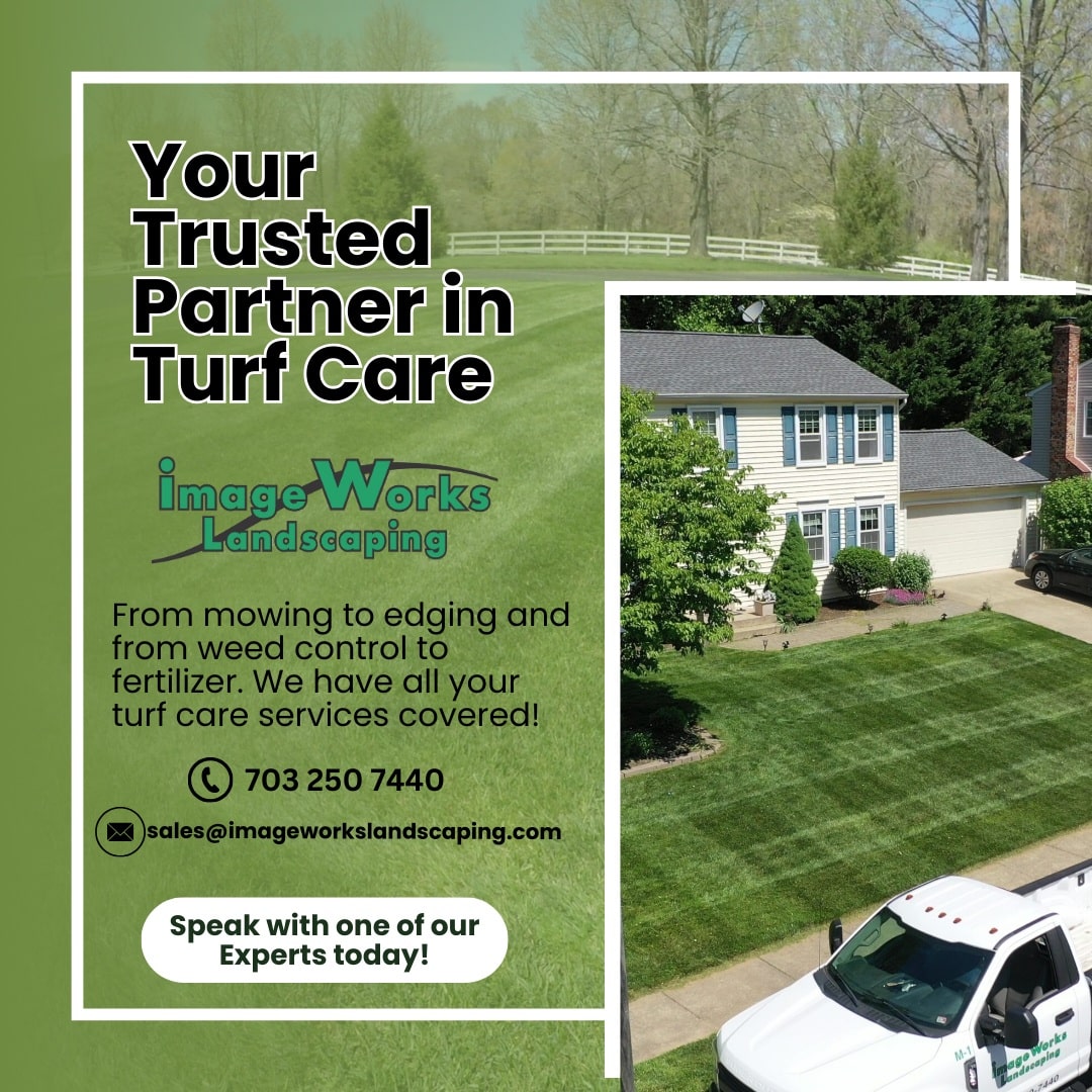 lawn seeding process