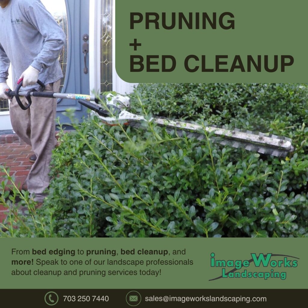 Pruining and FlowerBed Cleanup