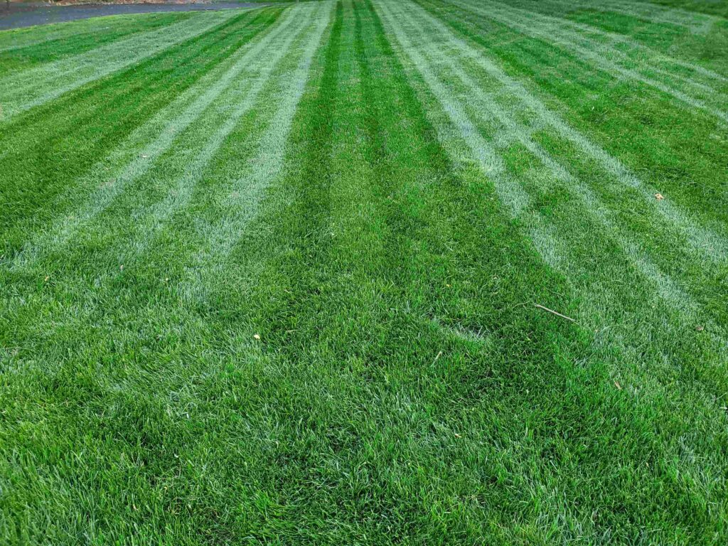 Lawn Care for Annandale Virginia