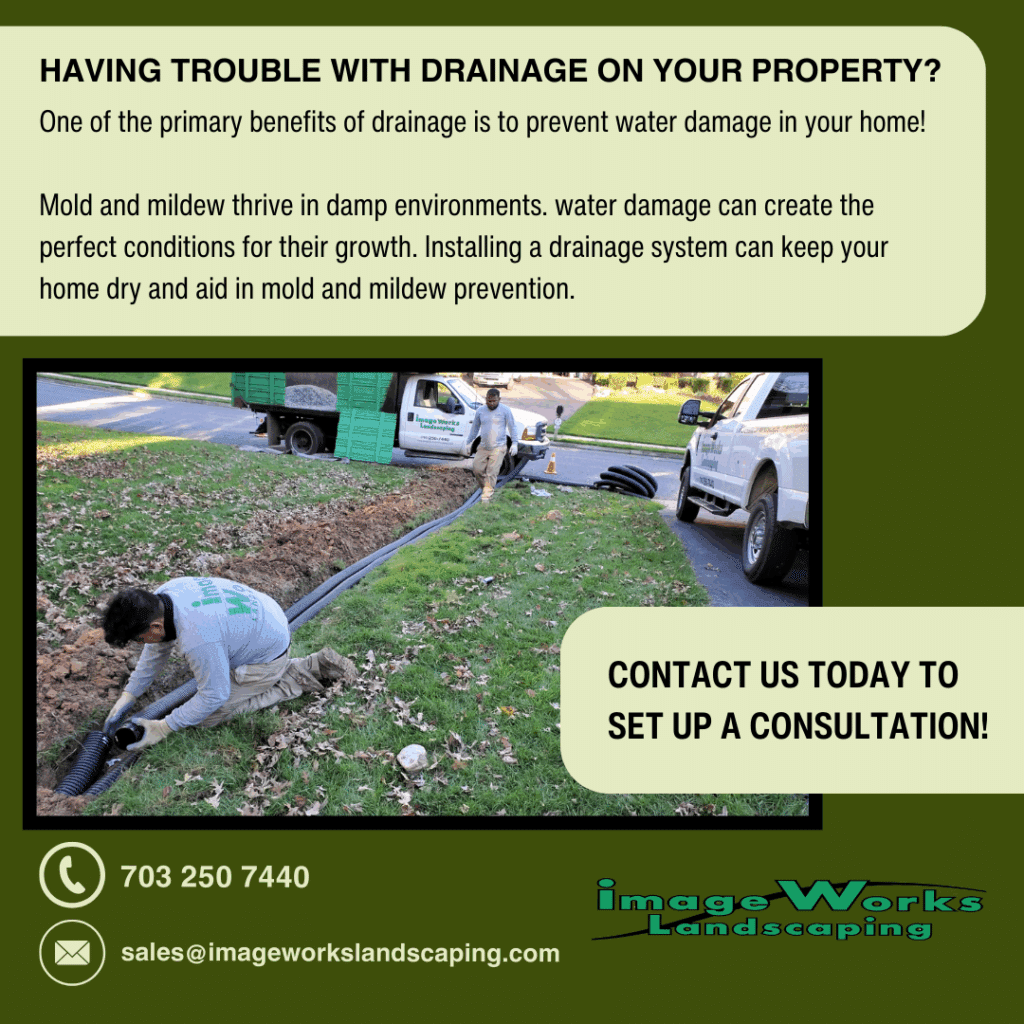 Professional installing a drainage system in a residential yard