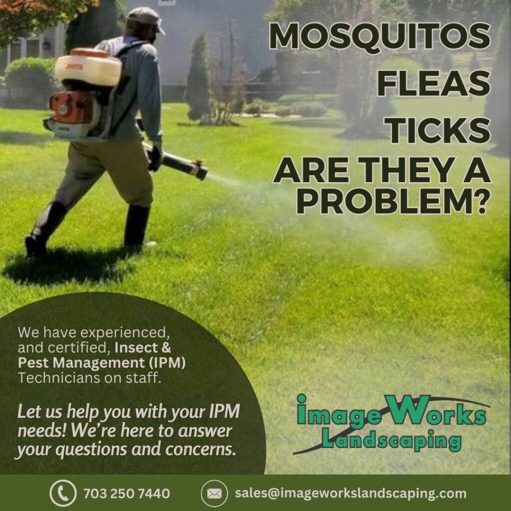Mosquito, Flea and Tick Control-Lush green lawn with well-maintained flower beds