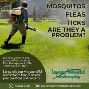 Mosquito, Flea and Tick Control