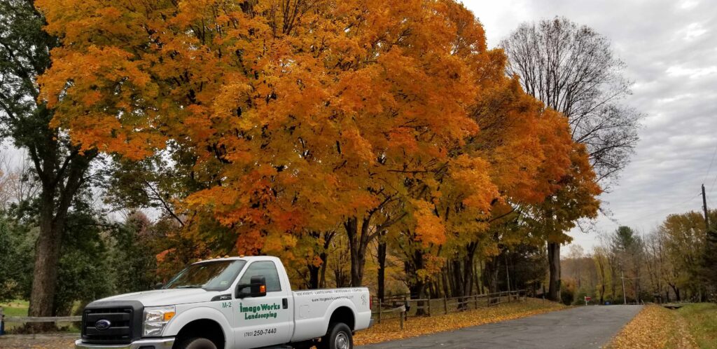 Fall Landscaping Services and Programs