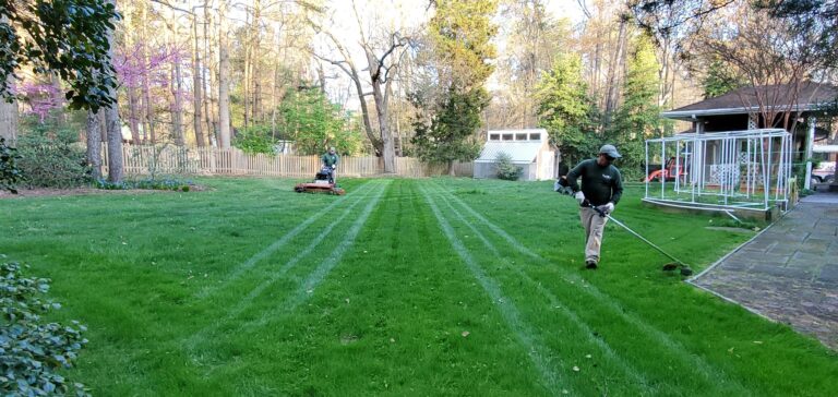 North Springfield Lawn and Landscaping