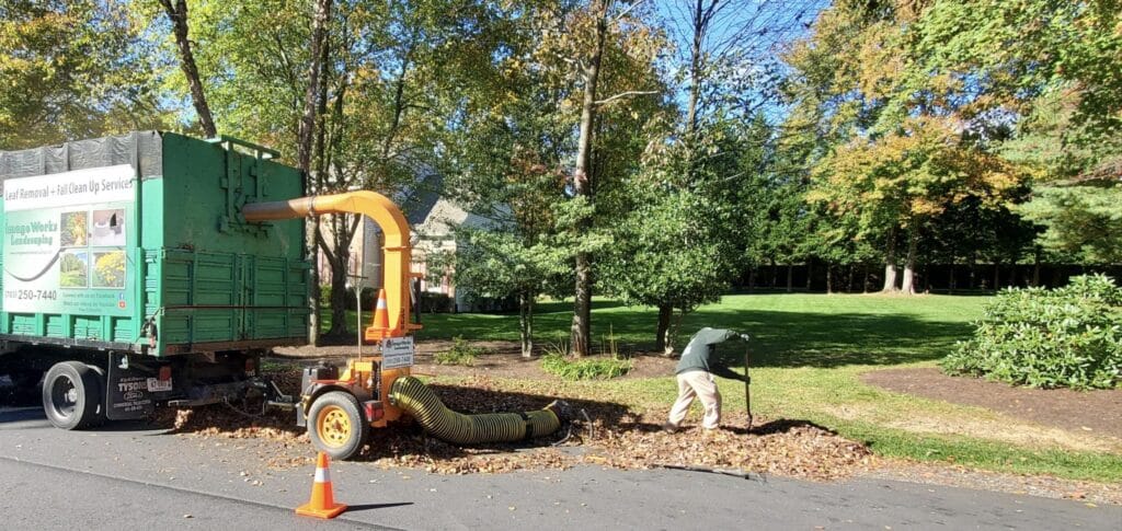 Leaf Pick-Up Service