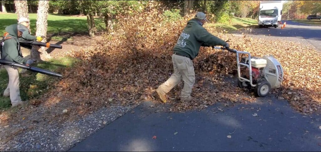 Local Leaf Rakers