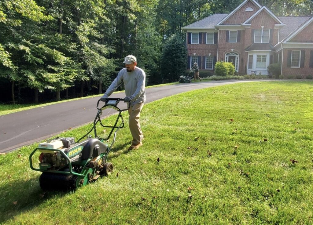 Benefits of Grass Aeration and Seeding