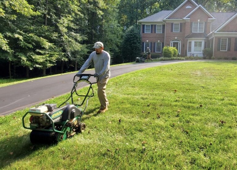 Benefits of Grass Aeration and Seeding