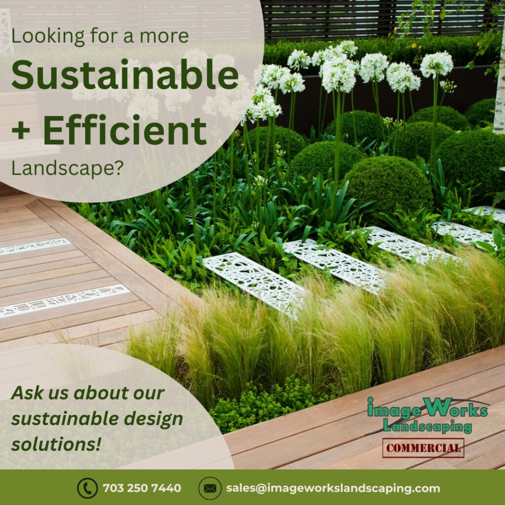 West Springfield Lawn Care