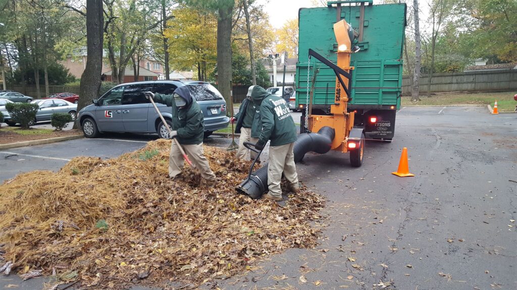 Affordable Leaf Removal Options in Your Neighborhood